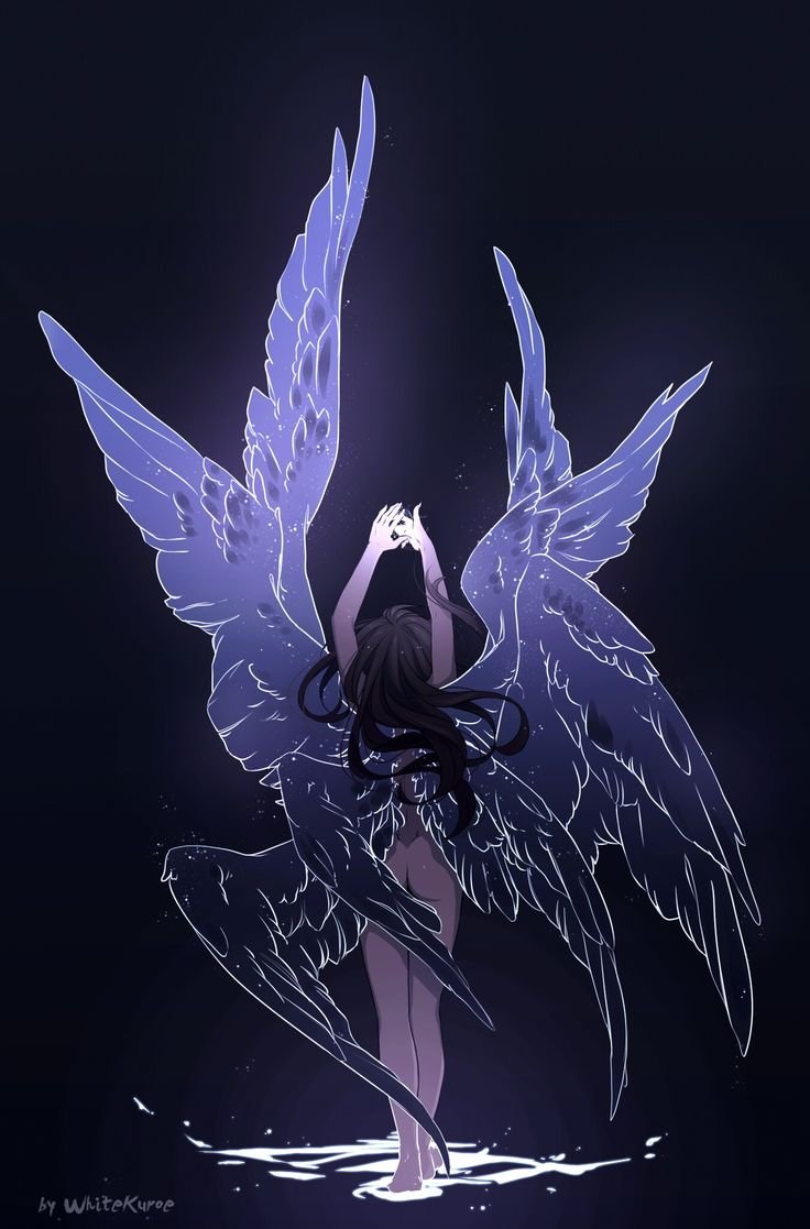 Многокрылый ангел аниме
