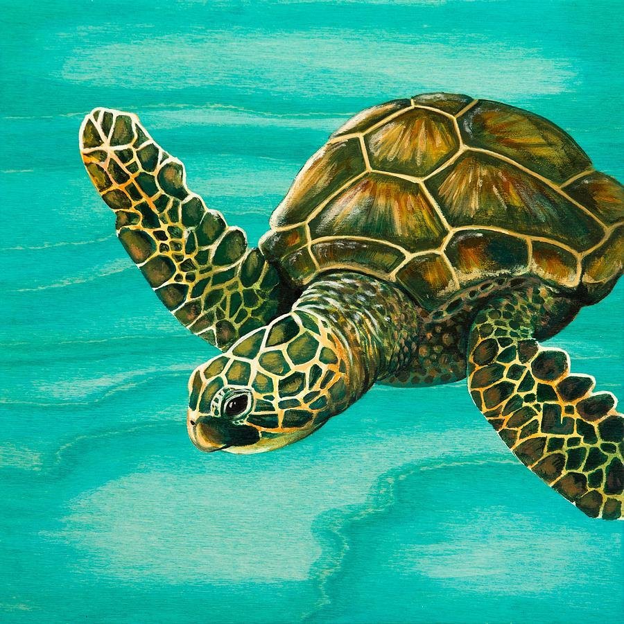 Морская черепаха живопись