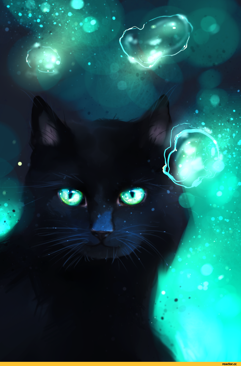 Коты Воители чёрная кошка с зелёными глазами