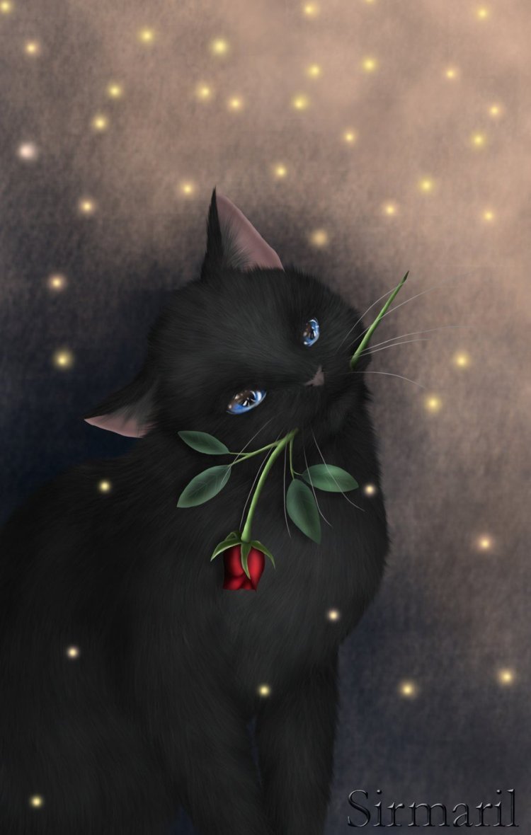 Черная кошка аниме