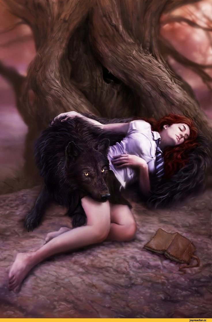 Картина по номерам девушка и волк