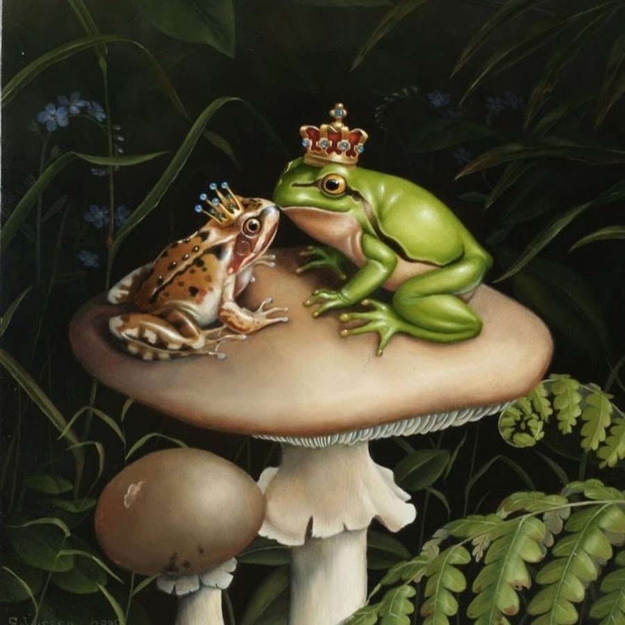 Сусан Виссер жаба