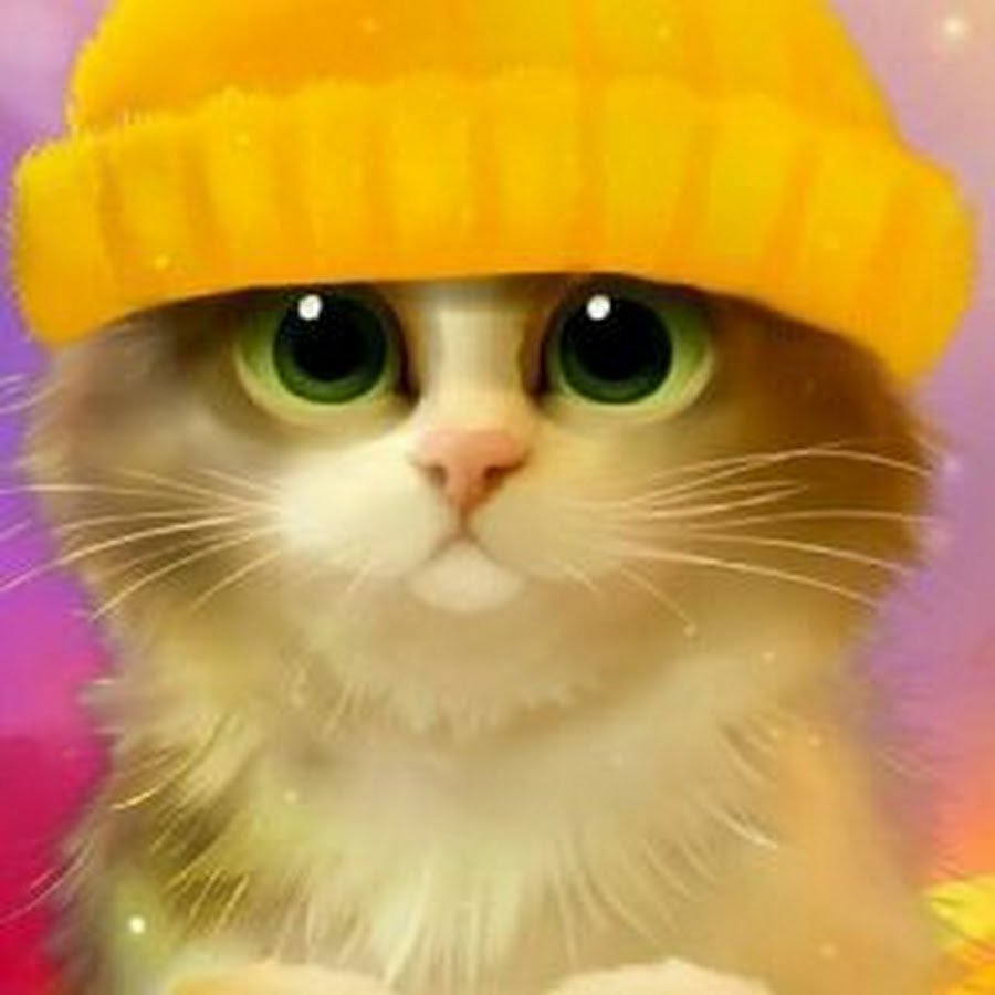Котик в шапке нарисованный