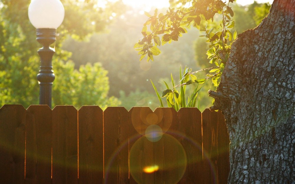 Солнце на заборе