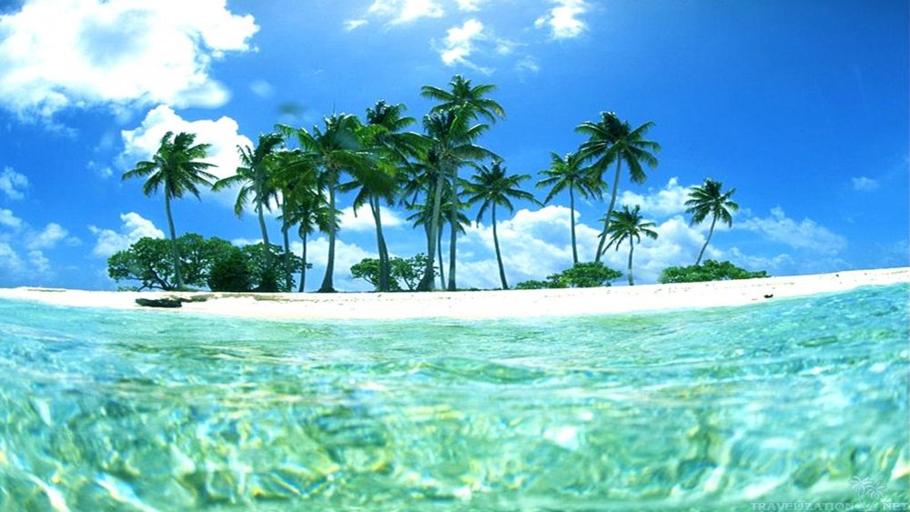 Море пальмы тропические острова