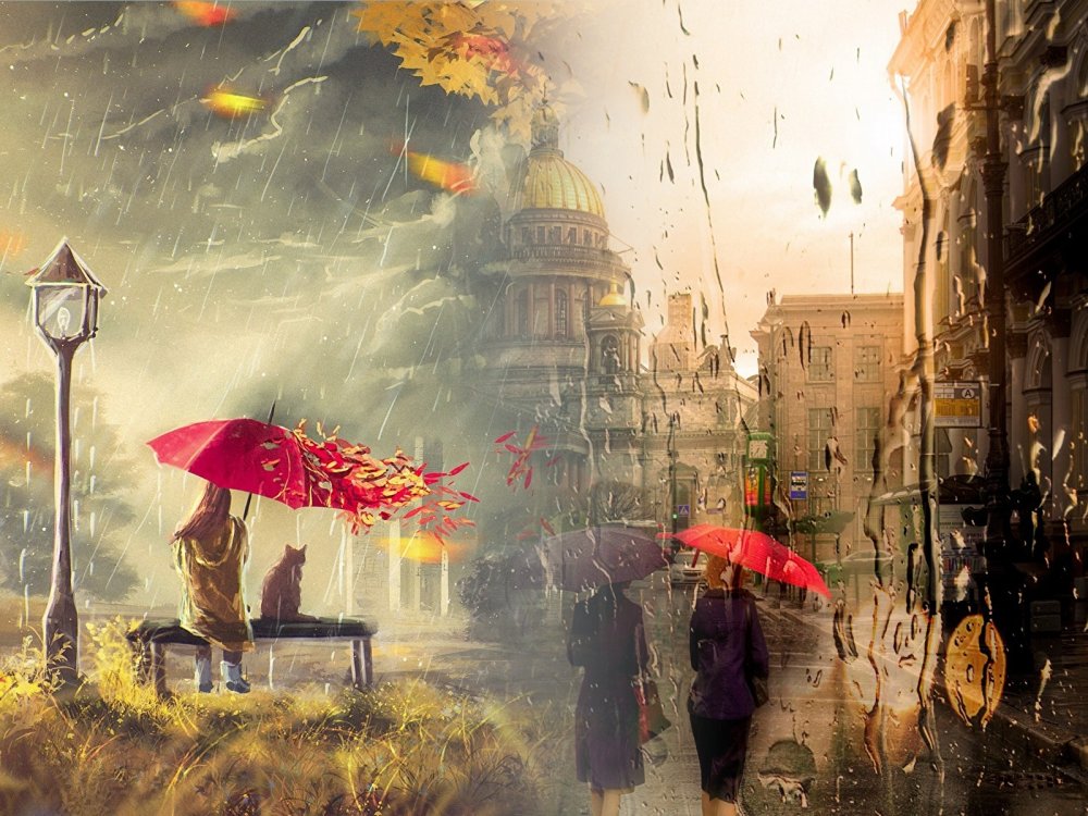Осень дождь зонт