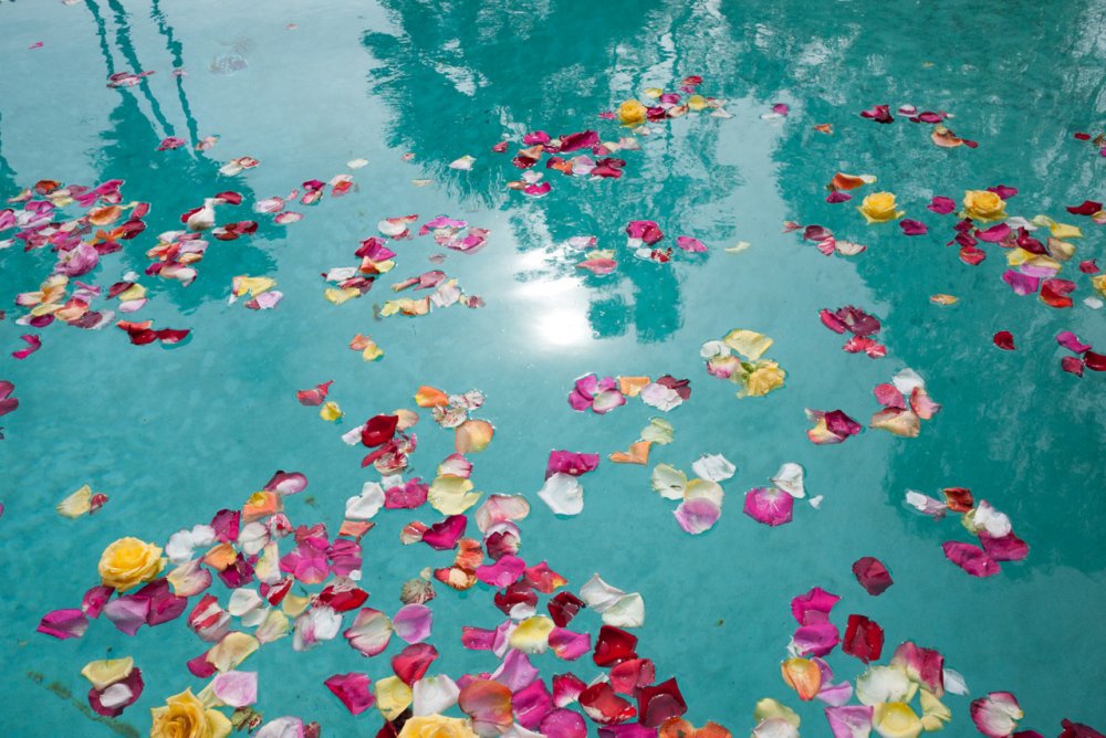 Цветы плавают в воде