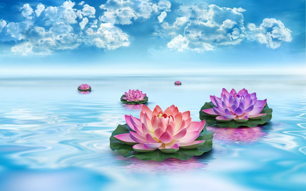 Цветы на фоне воды