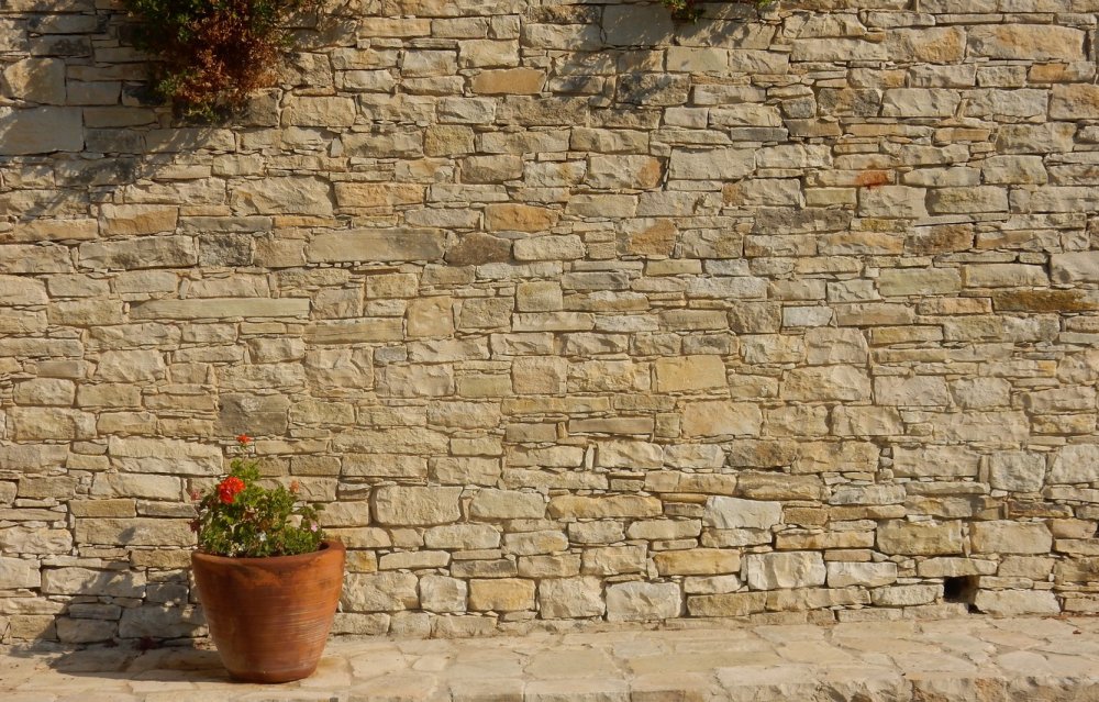 Каменная стена с растениями