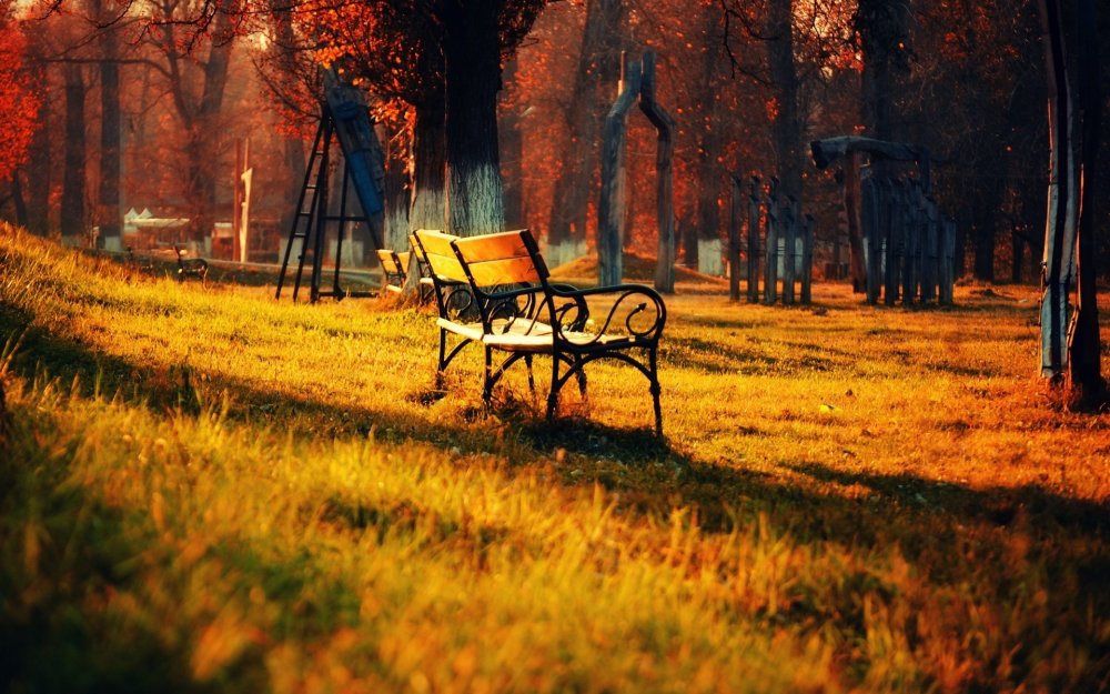 Осень парк скамейка