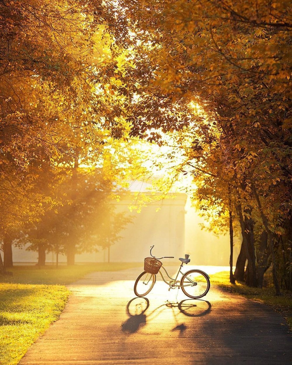 Велосипедист осенью