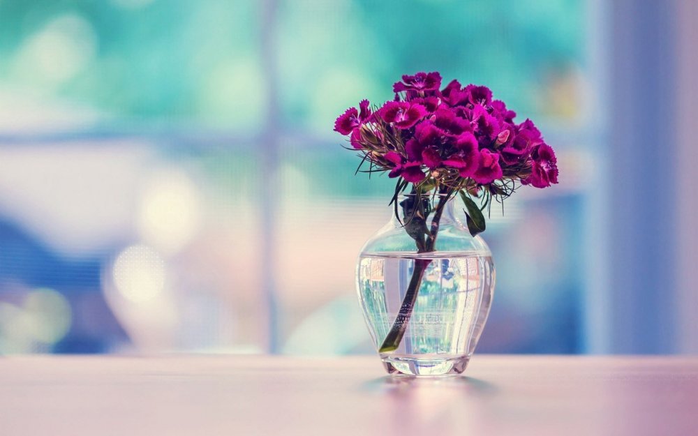 Обои на рабочий стол цветы в вазе