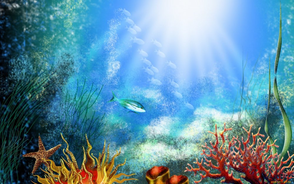 Сказочный подводный мир