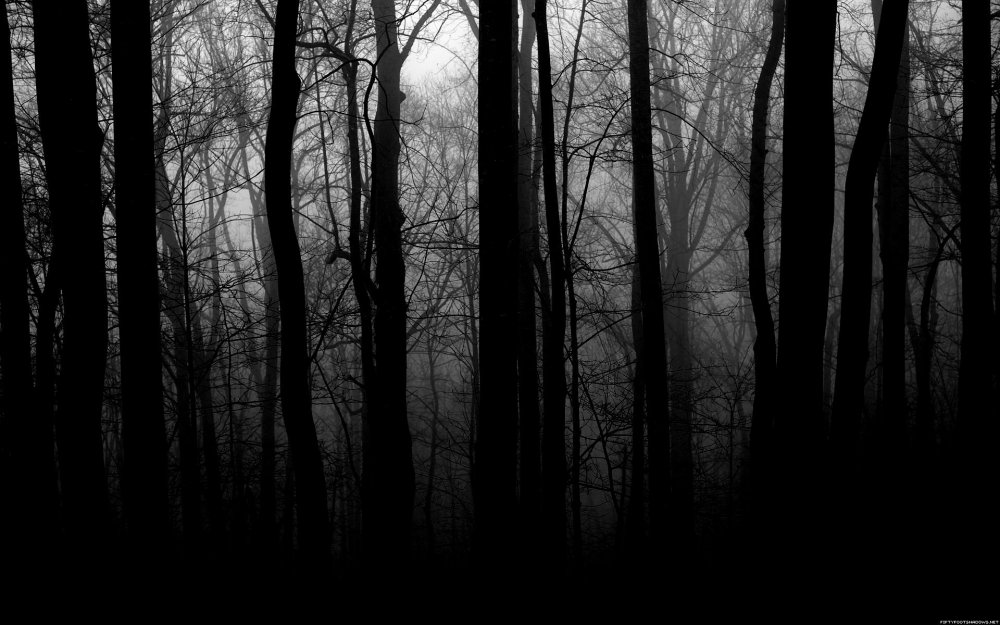 Глухой темный лес