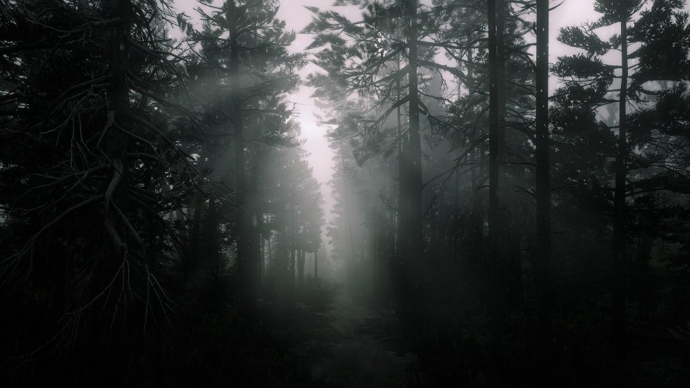 Темный лес 1920х1080