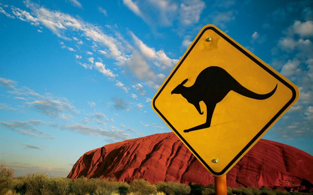 Дорожный знак кенгуру в Австралии