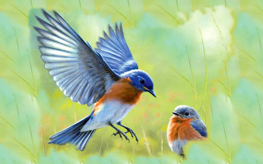 Птички на голубом фоне