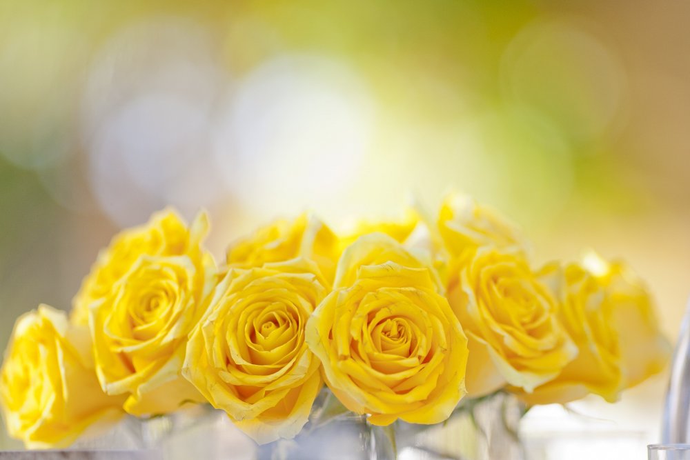 Желтый фон с цветами