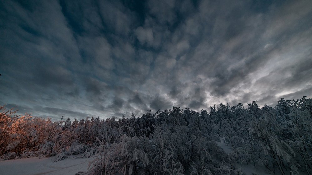 Пасмурное небо со снегом
