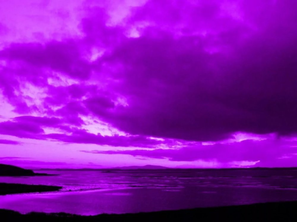 Цвет пурпурный