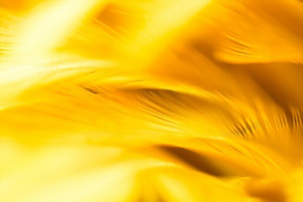 Фотообои желтые текстура