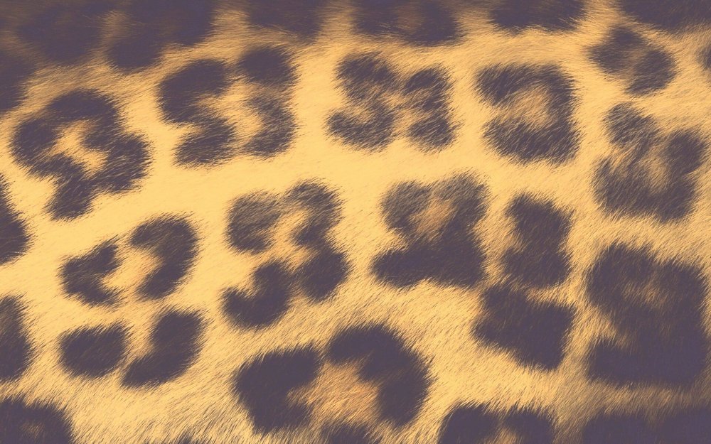 Леопардовые пятна
