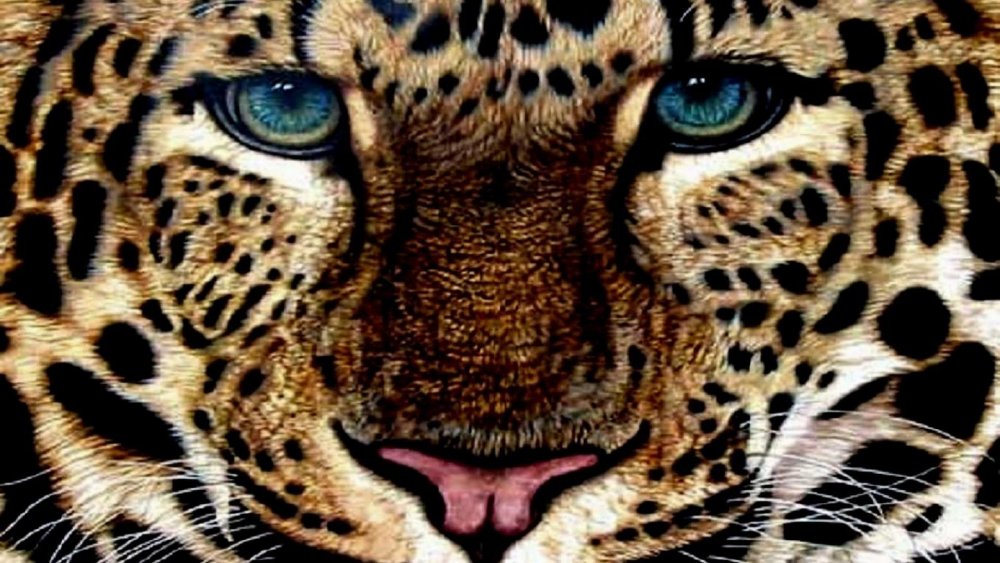 Синий леопард
