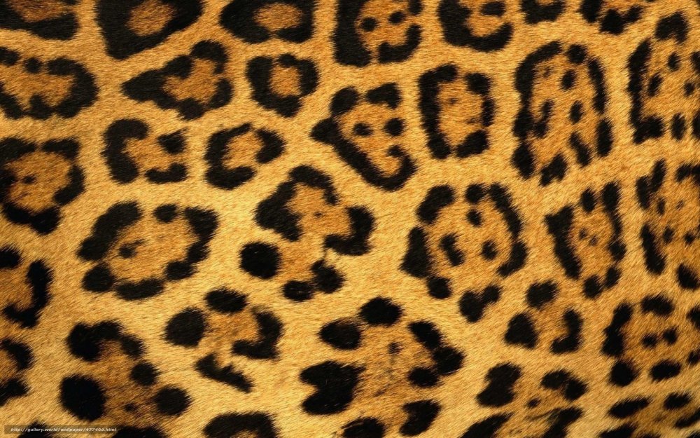 Леопардовый паттерн