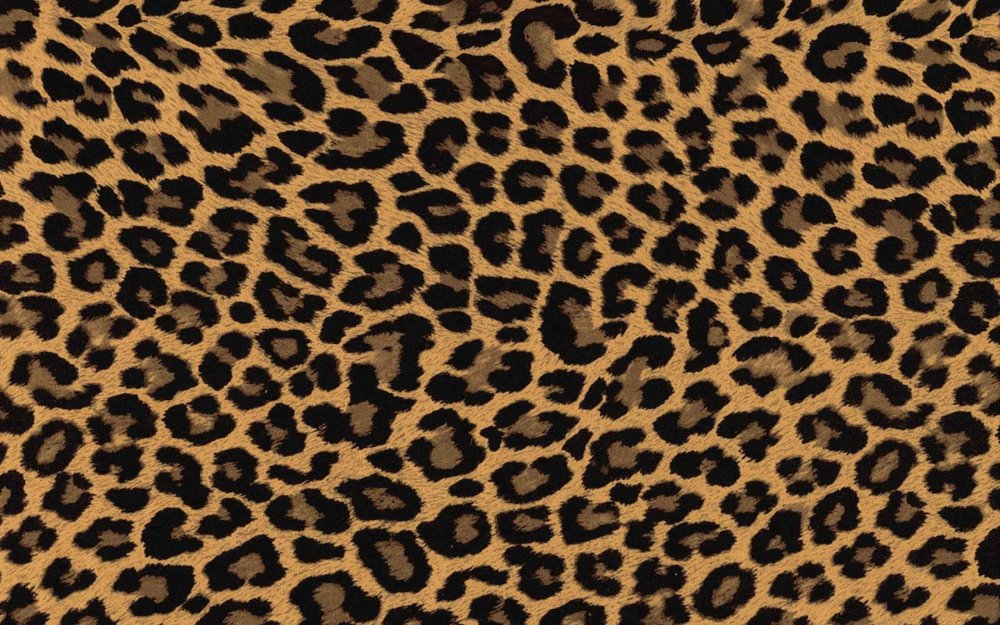 Леопардовый принт на черном фоне