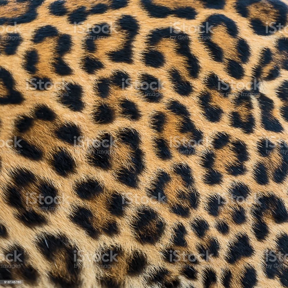 Леопардовые пятна фон