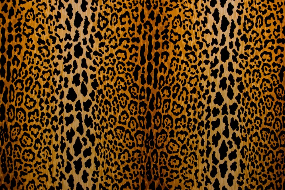 Леопард цвет