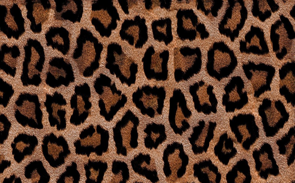 Цвет леопардовый фон однотонный