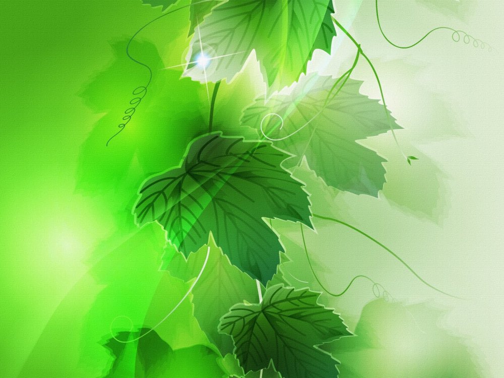 Листья зеленые абстракция