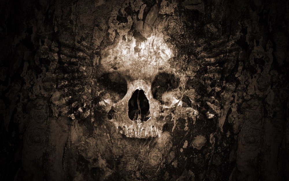 Человеческий череп мрачное фото