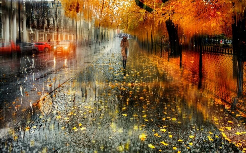 Дождливая осень фото