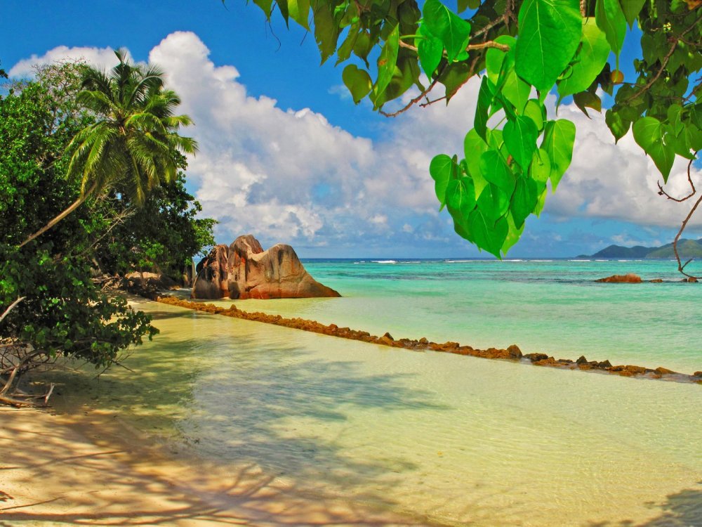 Остров Сейшелы