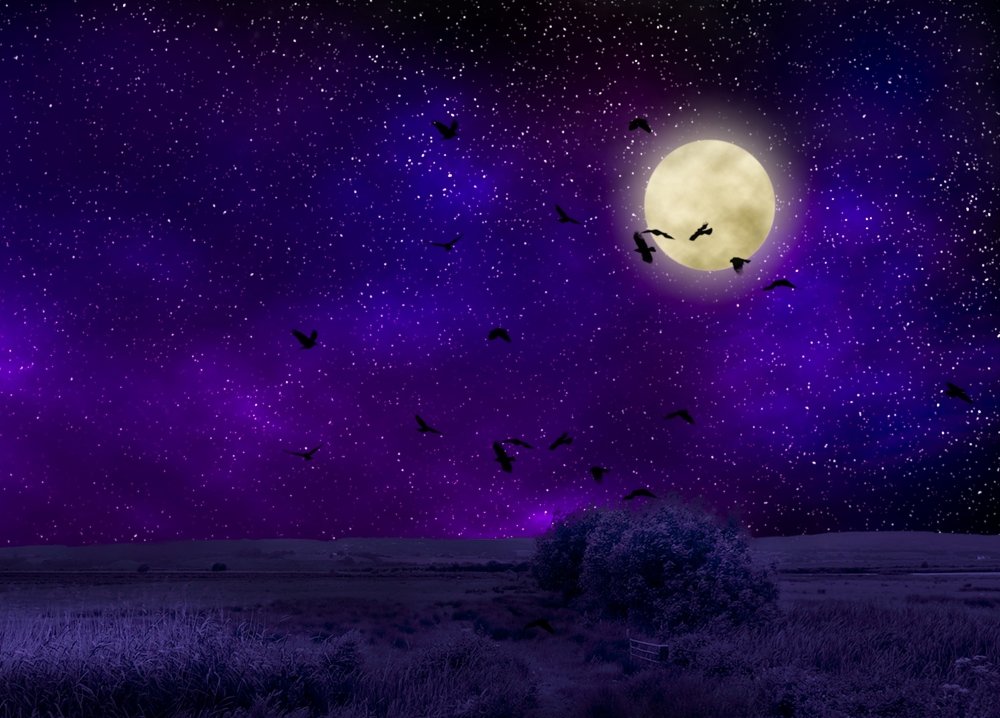 Ночное небо с луной и звездами