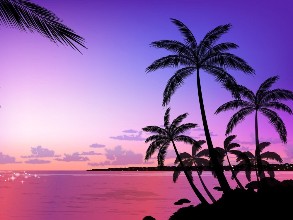 Красивый закат с пальмами