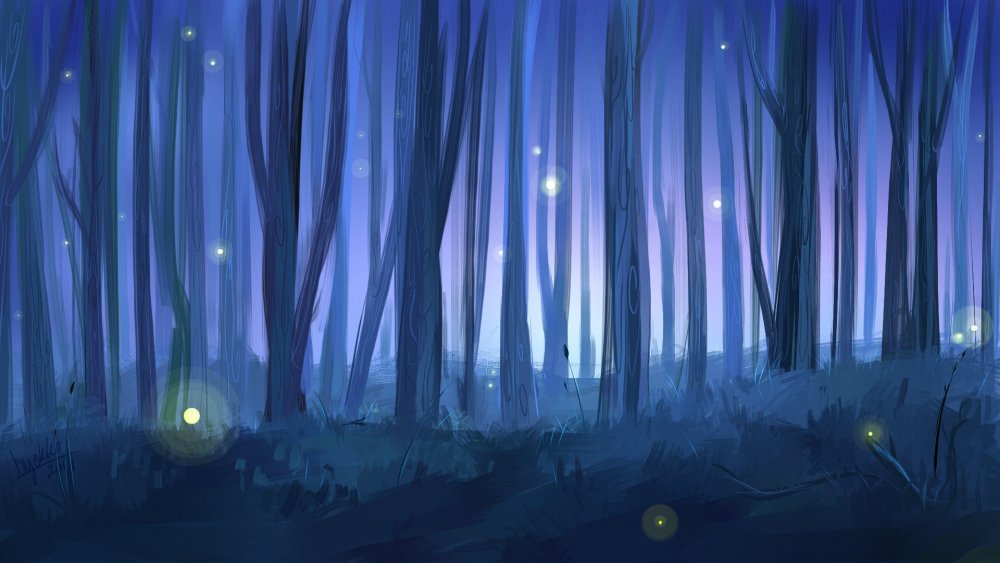Ночной лес аниме