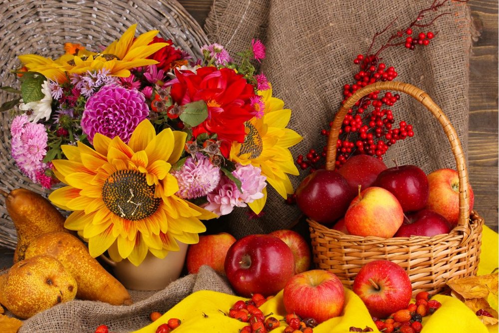 Осенние цветы и фрукты