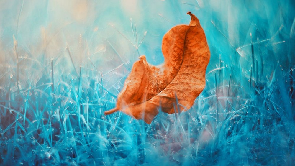 Голубая осень