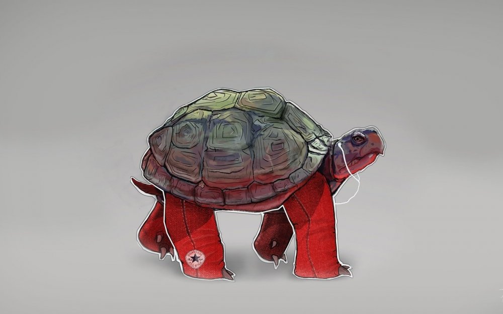 Панцирь черепахи арт