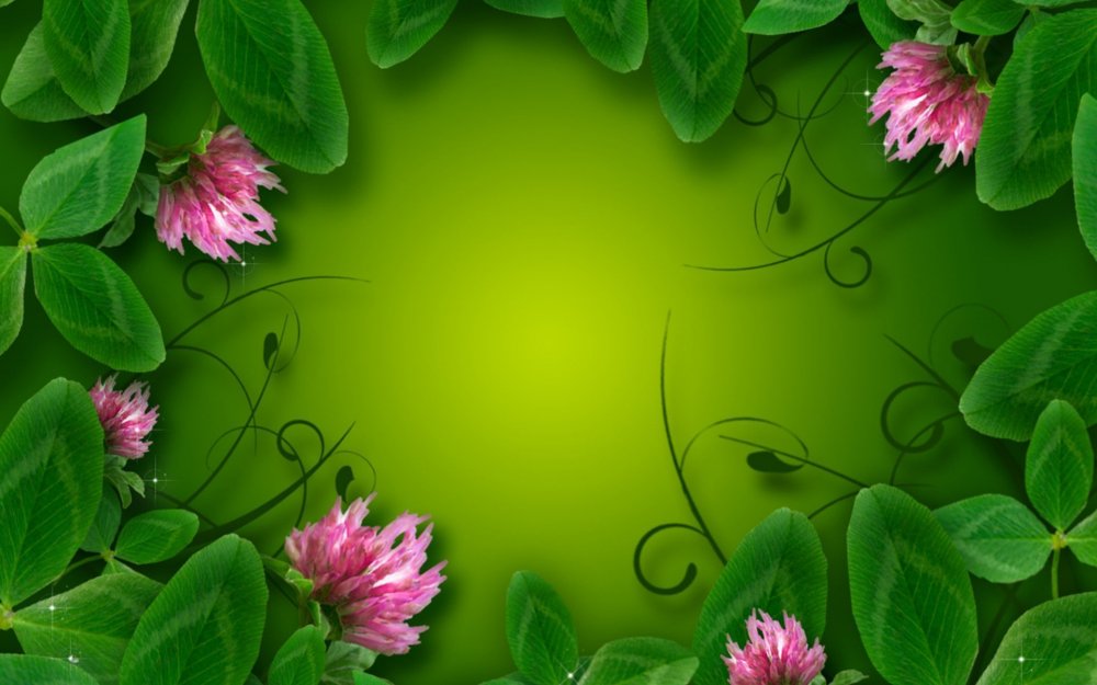 Цветы на зеленом фоне