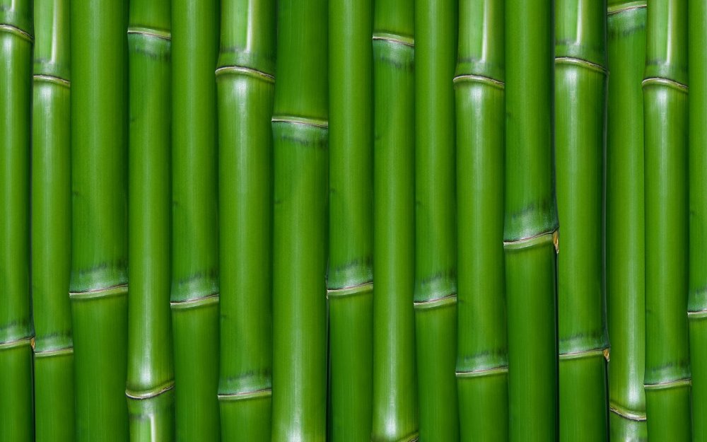 Bamboo "Bamboo (LP)"