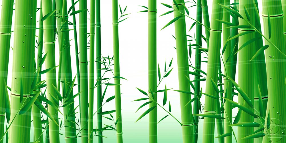 Триптих бамбук