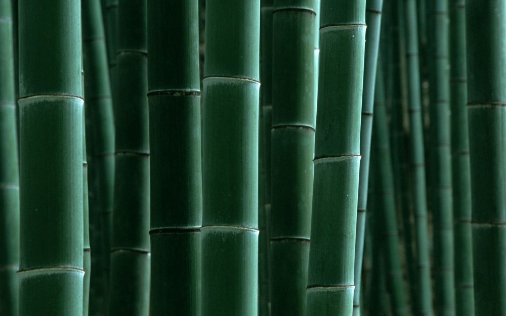 Helios 393 "зеленый бамбук