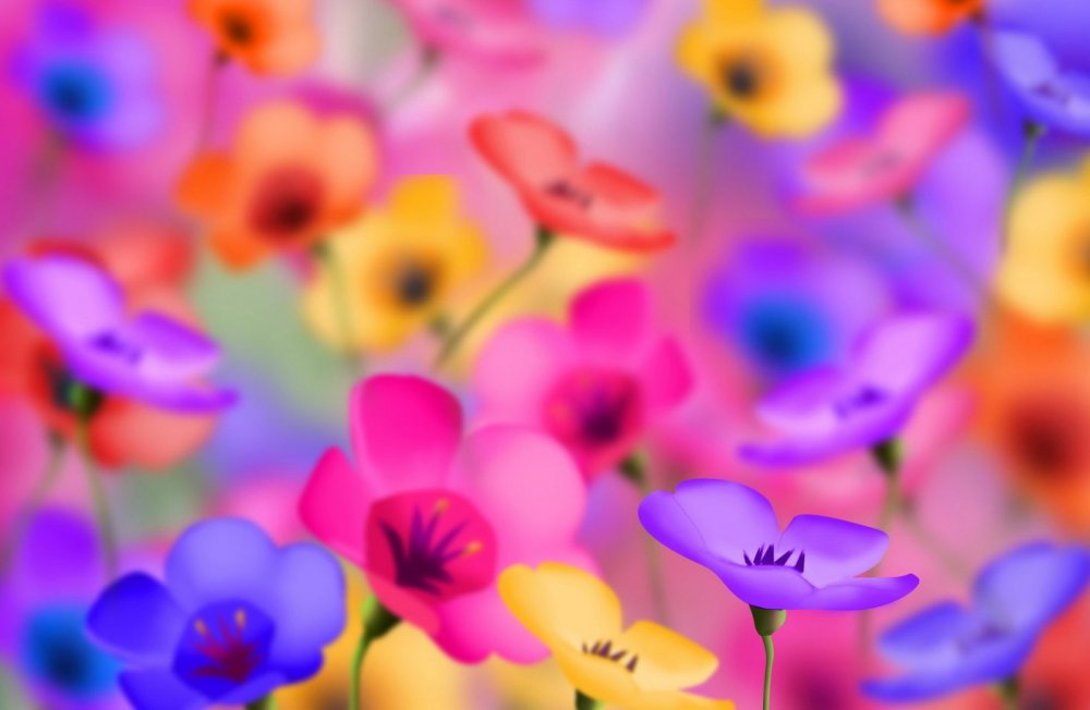 Цветы маленькие разноцветные
