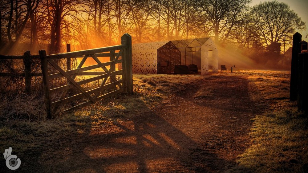 Gate on the Farm