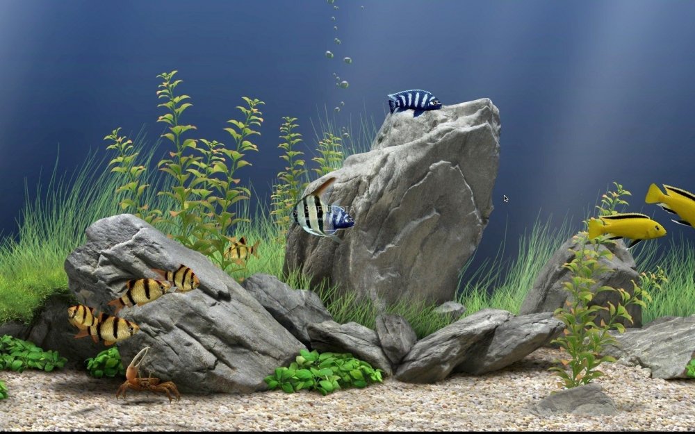 Фон аквариум с рыбками