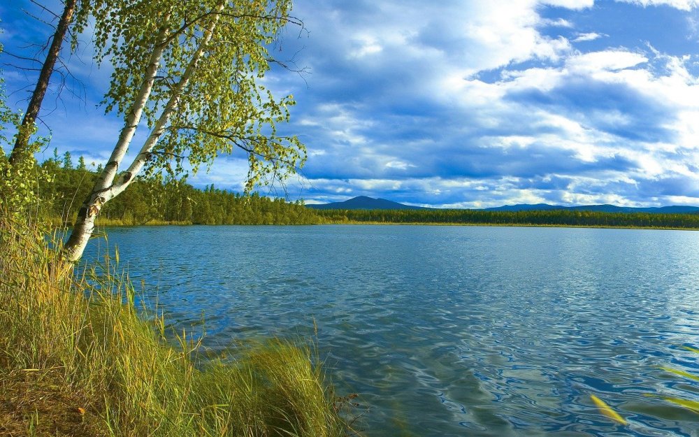 Волга река Березка